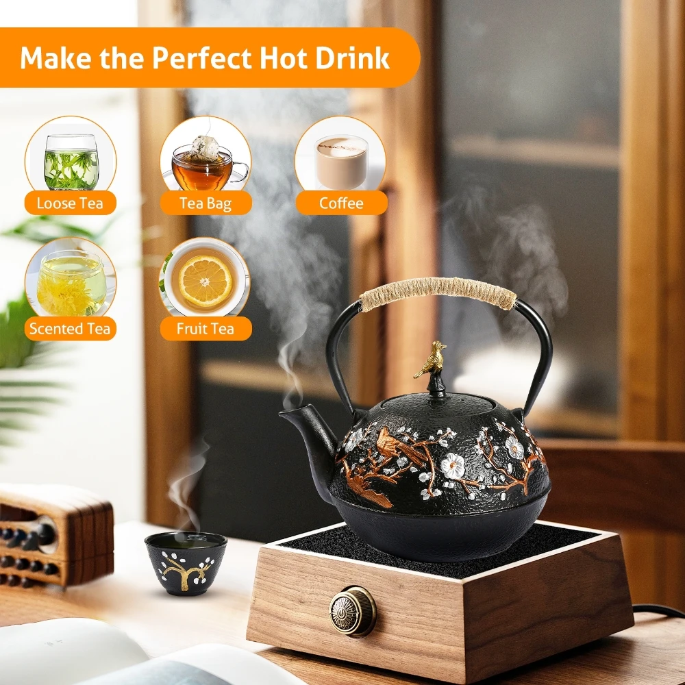 Cast Iron Teapot Set with Alco - Cast Iron Tetsubin 评论和价格